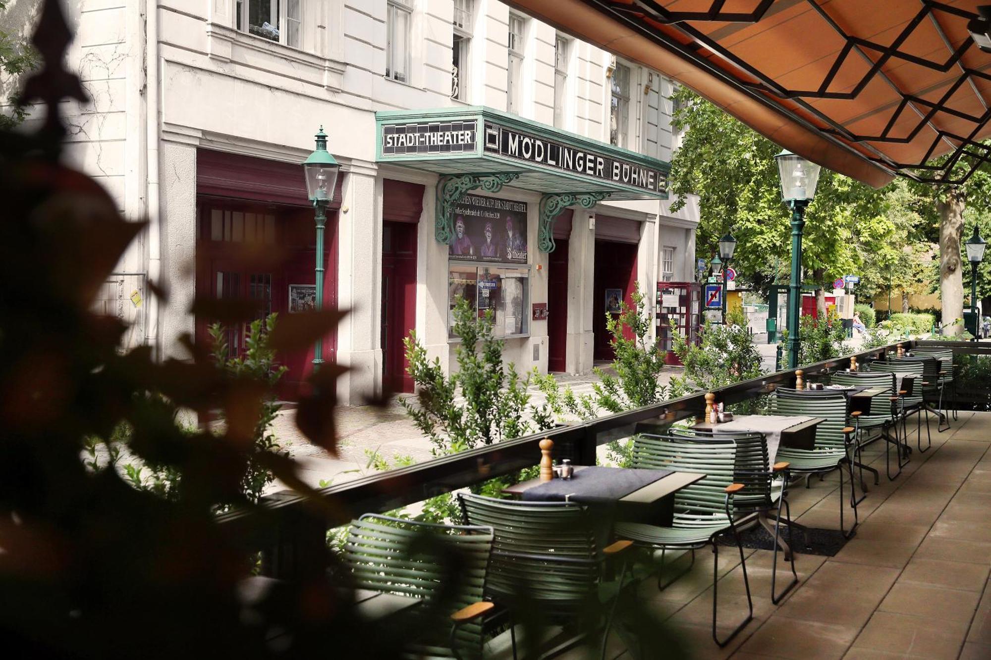 Hotel Babenbergerhof Медлінґ Екстер'єр фото